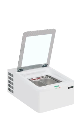 ICE2