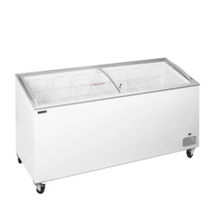IC551SCEB