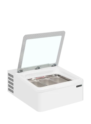 ICE3