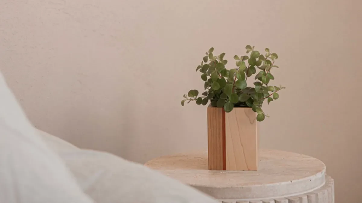 Mini planturne